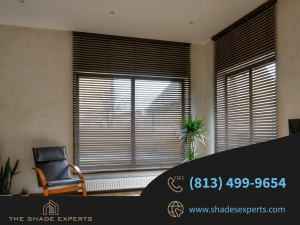 Motorized Shades Tampa